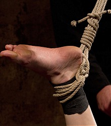 hogtied heavy bondage captive women forced orgasm